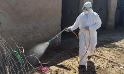 تسجيل إصابتين جديدتين بالحمى النزفية في كركوك