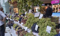 دهوك تفتتح مهرجانها السابع عشر للعنب والعسل