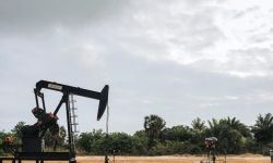 النفط يرتفع بعد انخفاض مفاجئ في مخزونات الخام الأمريكية