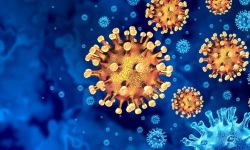 " آيريس" يتصدّر بدلاً عن كورونا