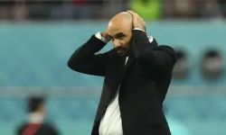 الركراكي: مخطئ من يعتقد أن بإمكانه اللعب مثل البرازيل في أفريقيا