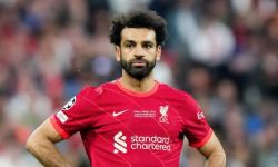 محمد صلاح بجائزة أفضل لاعب في الدوري الإنجليزي الممتاز