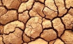 باحثون: ظاهرة خطيرة تحدث بسبب جفاف التربة