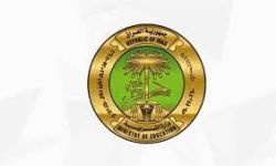 التربية تنفي شمول المدارس بقرار الأمانة العامّة لمجلس الوزراء