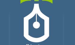 حدث ثقافي فارق.. أكثر من ٧ ملايين زائر لموقع نخيل عراقي