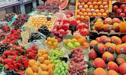 العراق يستورد خضروات وفواكه بقيمة 50 مليون دولار من تركيا في شهر