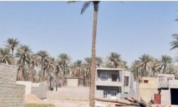 أمانة بغداد تعلن عن آلية جديدة لتنظيم دخول المواد الإنشائية إلى المناطق الزراعية