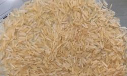 العراق ضمن الدول الأكثر استيراداً للأرز والأكبر إنتاجاً لها عربياً