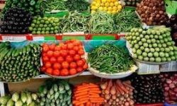 الزراعة تفتح باب التصدير وتمنع 9 سلع زراعية من الاستيراد