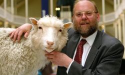 الموت يغيب قائد فريق استنساخ النعجة الشهيرة (دوللي)إيان ويلموت