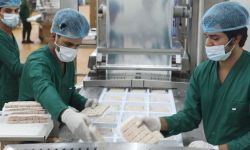 العراق يصدّر الصناعات الغذائية إلى سبع دولٍ في أوروبا