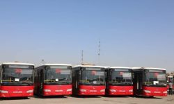 النقل: أكثر من  (600)  حافلة في خدمة زائري الأربعينية
