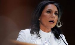 ترشيح غابارد مديرة للمخابرات الوطنية