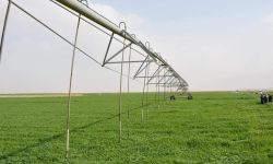 موسم زراعي واعد في كربلاء: تنفيذ خطط استراتيجية لمحاصيل الحنطة والشعير