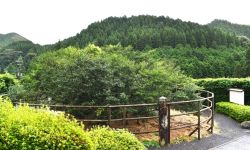 التجارة ترفع دعوى قضائية ضد شركة عاملة بمزارع للشاي في فيتنام يمتلك العراق حصة منها