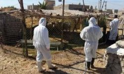 ارتفاع مقلق: الصحة تكشف عن حصيلة إصابات ووفيات الحمى النزفية في العراق