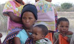 ناميبيا تذبح 700 حيوان بري بسبب أزمة المجاعة