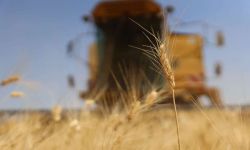 بسبب الجفاف... سوريا تستنجد بجيرانها لإنقاذ "رغيف الخبز"