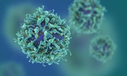 اكتشاف طريقة تقضي على الخلايا السرطانية بنسبة 99%