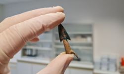 من الدول الاسكندنافية الى العراق.. متى نشبت "الحرب العالمية الأولى الحقيقية"؟