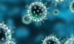 الكويت ترصد متحور “إي جي 5”، وتحذر من سرعة انتشاره