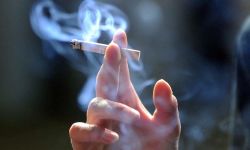 ماهي "المادة الرمادية" بأدمغة المراهقين المدخنين