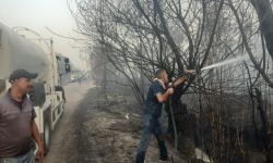 حريق يندلع ببساتين الصويرة و جهود استثنائية لإخماده